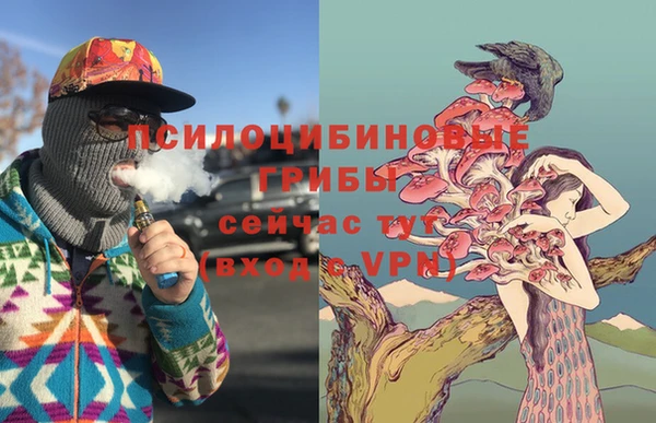 соль курить ск Каменногорск
