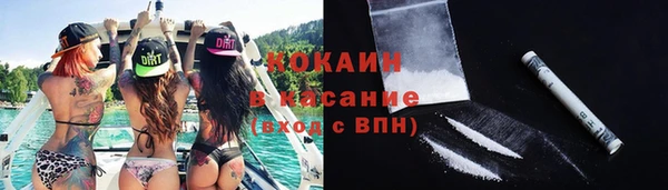 дживик Каменка