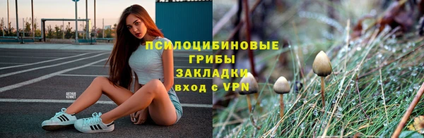 круглые Карпинск