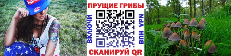 Галлюциногенные грибы ЛСД  Купить закладки  Дюртюли 